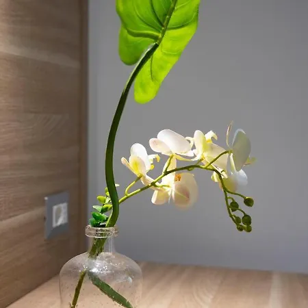 Ξενοδοχείο Pegasus Σάσαρι