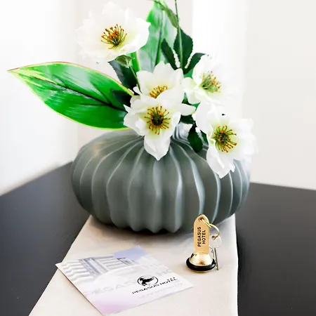 Pegasus Ξενοδοχείο 3*