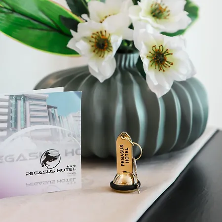 Pegasus 3* סאסארי